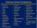 Images of List Of Veterinary Schools In Us