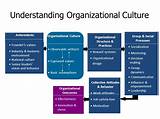 Organizational Culture Of A Company Pictures