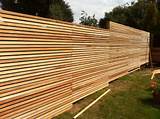 Modern Wood Fencing Pictures