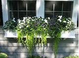 Outdoor Fake Flowers For Window Box