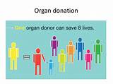 Pictures of Organ Donation In Islam