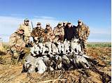 Sandhill Crane Hunting Outfitters Photos