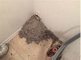 How To Clean Lint From Dryer Vent Pipe Photos
