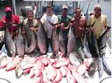 Tuna Com Fishing Charters Pictures