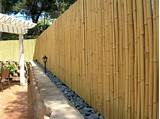 Pictures of Cheap Bamboo Fencing Rolls