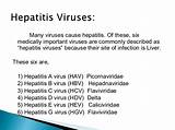 Latest Treatment For Hepatitis B Virus Pictures