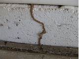 Images of Termite Ground Treatment