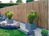 Bamboo Backyard Fencing Images