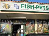 Fish Places Near Me Pictures