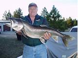 Flathead Lake Fishing Pictures
