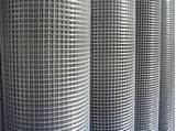 Stainless Steel Aviary Mesh Photos