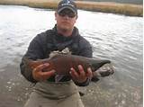 Pictures of Williams Fork River Fishing Report