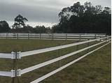 Paddock Fencing For Horses