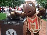 Maryland University Mascot Pictures
