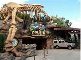Images of T-rex Cafe Reservations