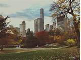 Central Park Photo Spots Photos