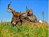 Photos of Illinois Deer Hunts Outfitters
