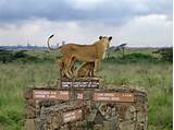 Best Safari Park In Kenya