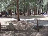 Images of Yosemite Camping Site Reservation