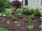 Images of Types Of Wood Chips For Landscaping