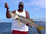 Everglades Charter Fishing Photos