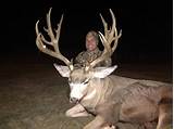 Southern Missouri Deer Hunting Outfitters