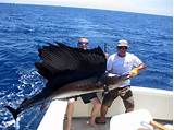 Costa Rica Charter Fishing Photos