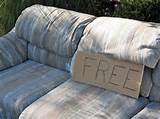 Photos of How To Get Rid Of Bed Bugs On Couch