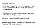 Pictures of Types Of Service Dogs For Ptsd
