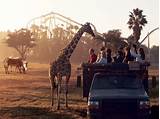 Pictures of African Safari Tour Packages