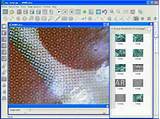 Microscope Software Pictures