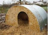 Pictures of Cheap Pig Shelter