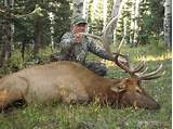 Pictures of New Mexico Elk Hunting Outfitters