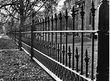 Victorian Garden Fencing Photos