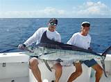 Pictures of Miami Charter Fishing