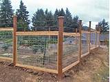 Images of Cattle Panel Fence Ideas