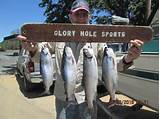 Images of Glory Hole Fishing Report