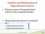 Organizational Culture Of A Company