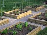Backyard Vegetable Garden Design Images