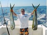 Pictures of Charter Fishing Costa Rica