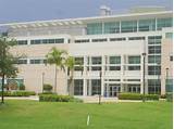 University Of Miami Wiki