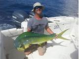 Photos of Deep Sea Fishing Marathon Key Florida