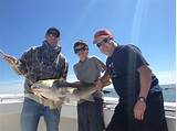 Galveston Fishing Charters Images