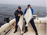 Halibut Fishing In Canada Pictures