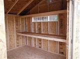 Photos of Shed With Shelves