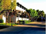 Antelope Valley College Online Courses Images