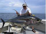 Panama Sport Fishing Images