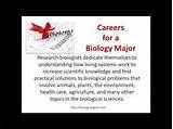 University Of Florida Online Biology Degree Photos