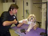 Images of Imperial Animal Hospital Grooming
