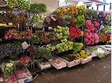 Photos of Manhattan Flower Market